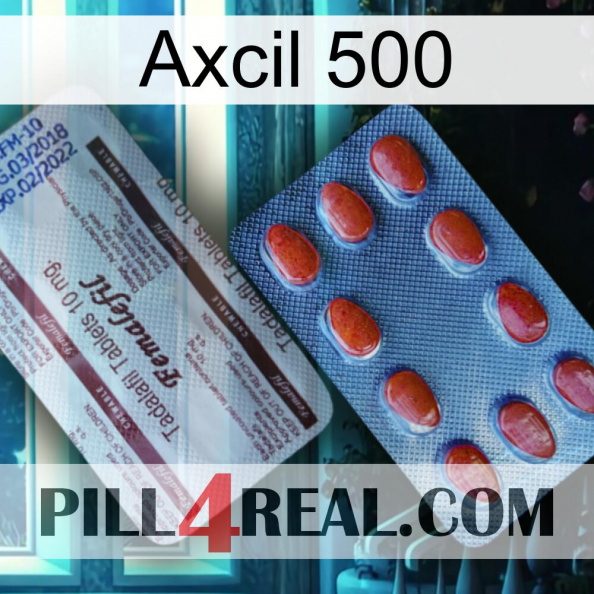 Axcil 500 36.jpg